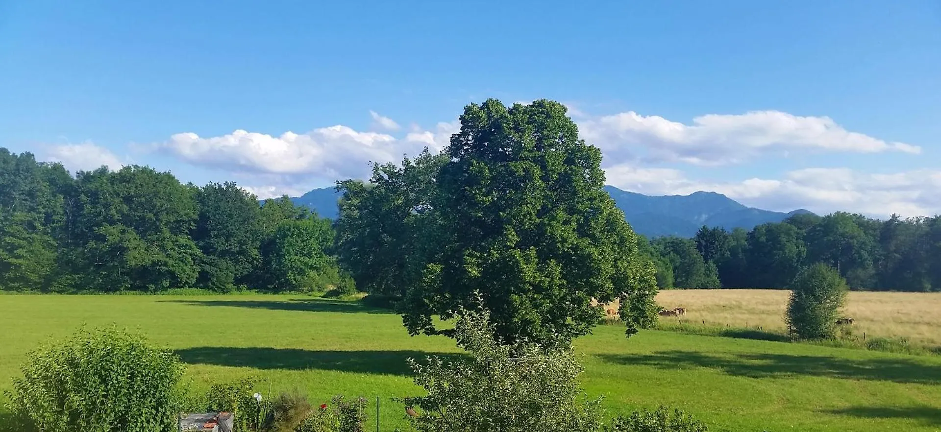 Apartamento 5 Sterne Fewo Mit Garten Und Bergblick In Chiemsee-Naehe Übersee